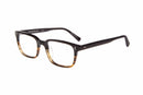 Visual Eyes Glasses BLACK TORTOISE / Frame Only / Frame Only Brooklyn Tripp